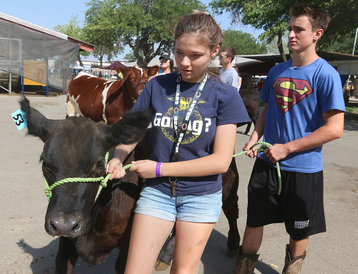 Youth activities at Kings Fair